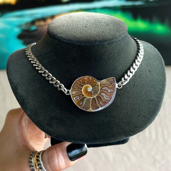 Made to order . genuine fossil ammonite shell stainless steel chain choker - Picture 1 of 14